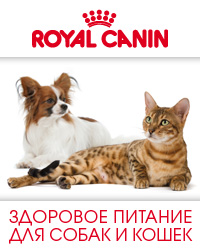 Royal Canin - корма для собак и кошек