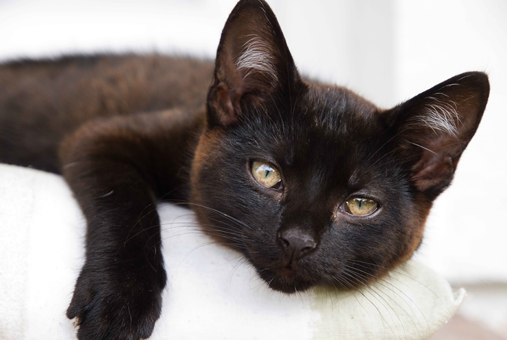 1-10-130225.png 1-10-130225.png