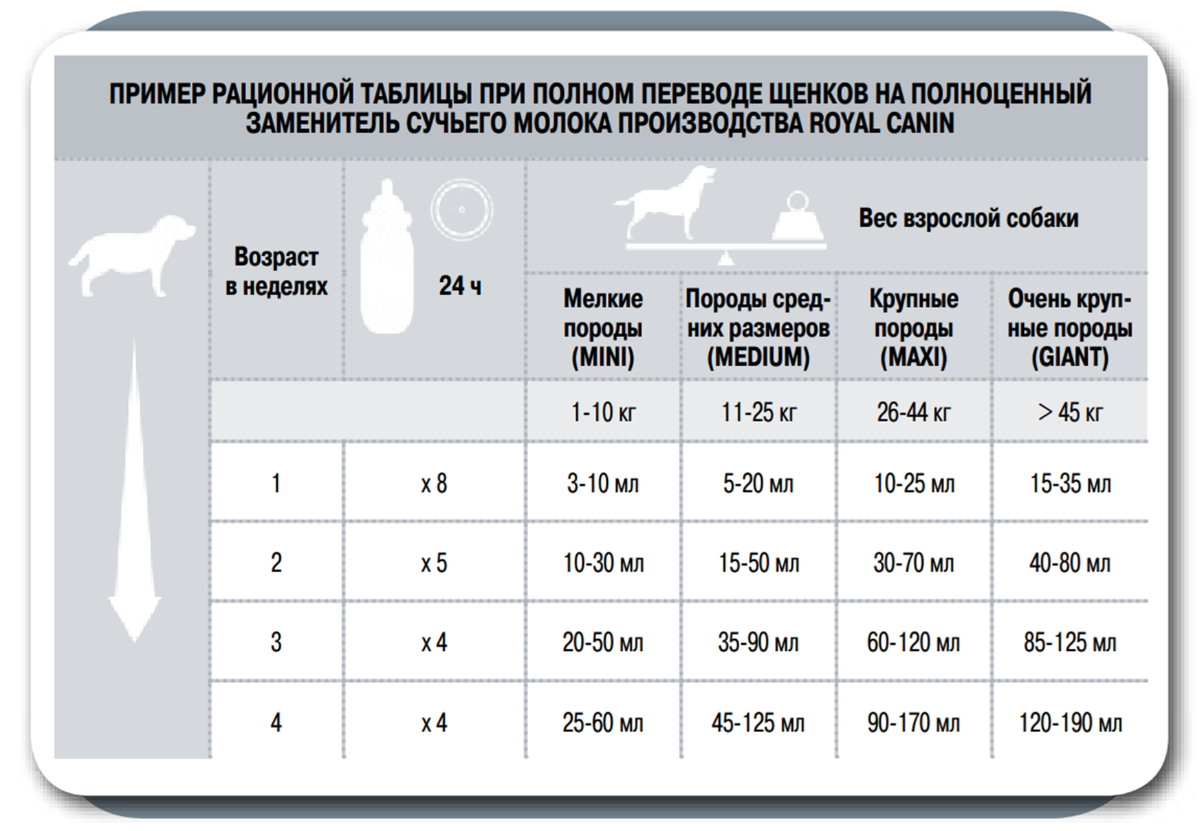 1-3-21082024.png 1-3-21082024.png