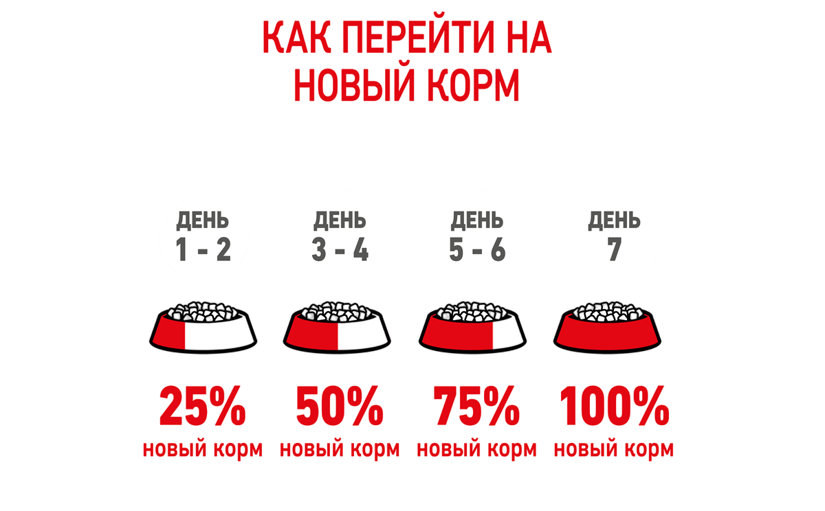 r-13-1-13102026.png r-13-1-13102026.png