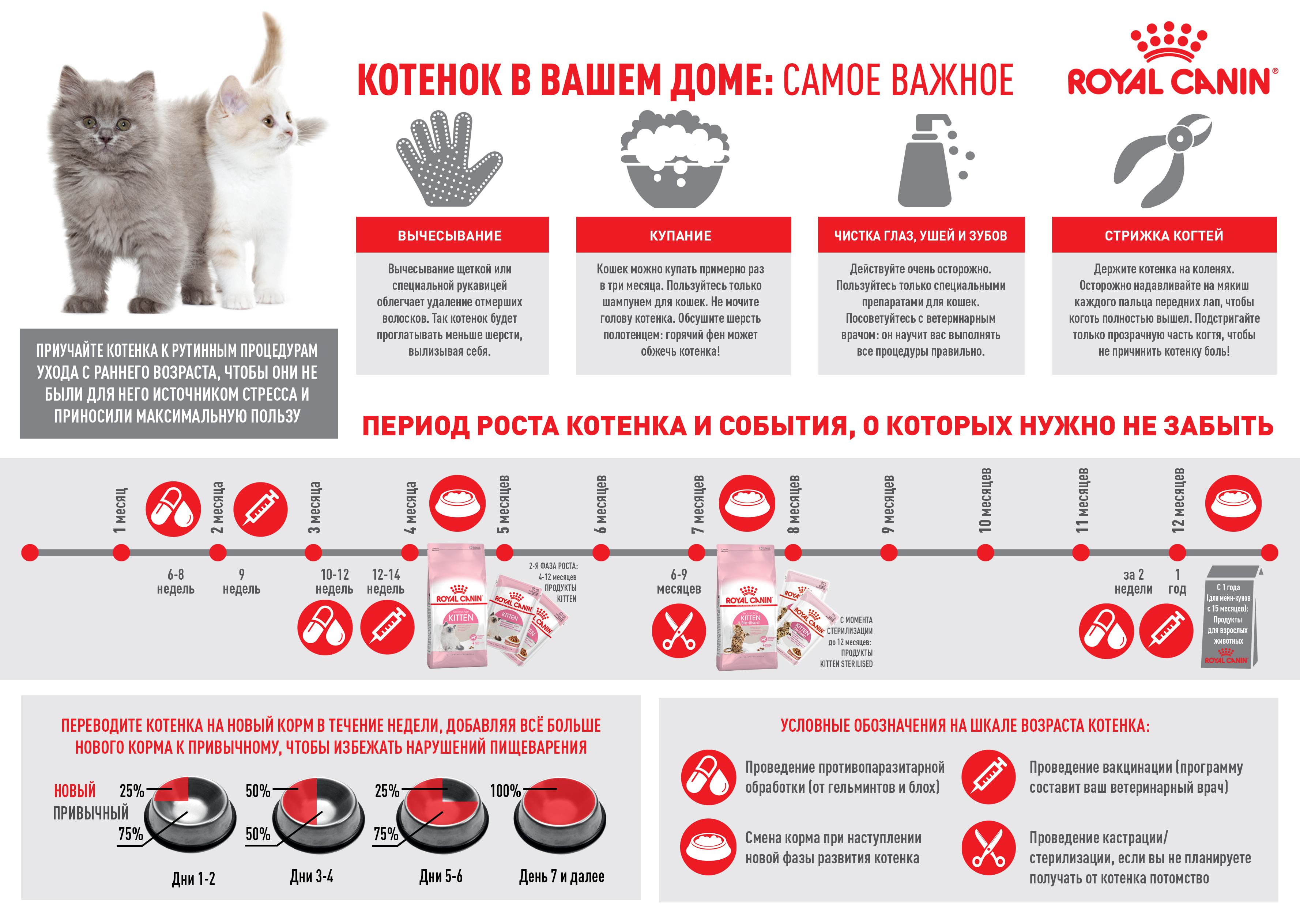 Котенок_в_вашем_доме_1.jpg Котенок_в_вашем_доме_1.jpg