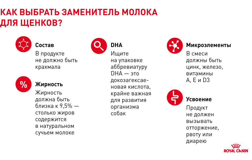заменитель молока для щенков заменитель молока для щенков