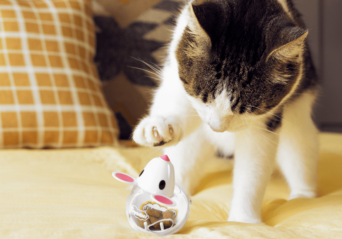 Игрушки-кормушки для кошек