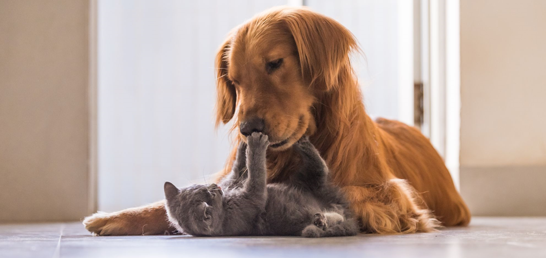 Генетический тест - выбор биоматериала