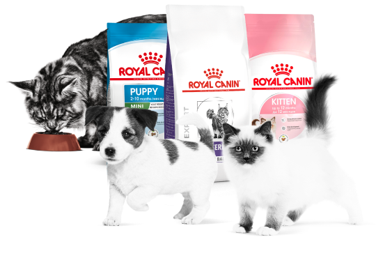 Заполните анкету и получите подарочный набор для вашего питомца