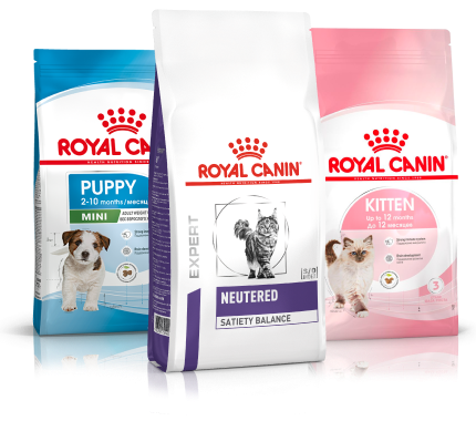 Получите подарочный набор для питомца